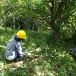 二の丸山で草刈り作業