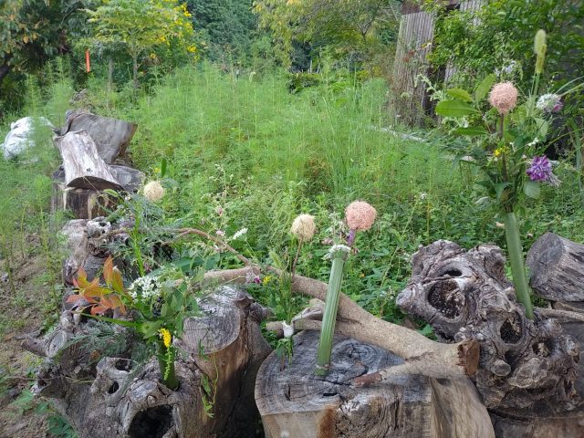 野趣あふれる花飾り