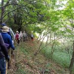 里山の散策