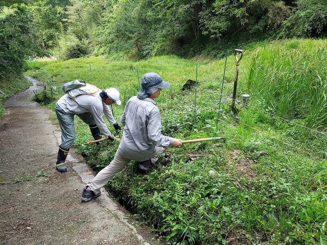 棚田の草刈り