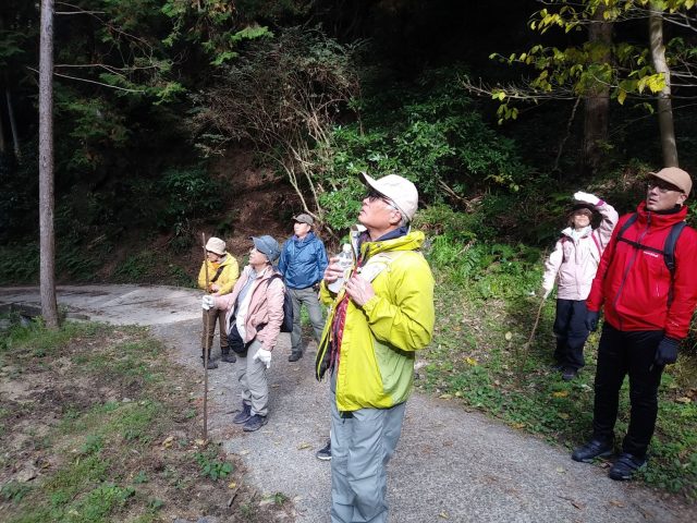 弘川寺ハイキング