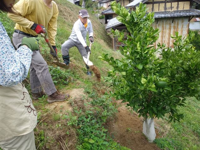 イノシシ掘り跡の整備