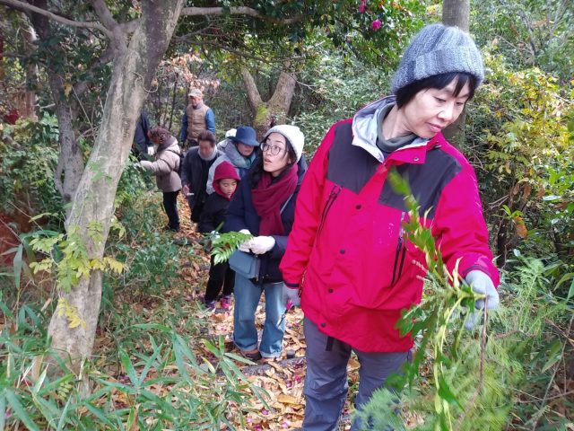 里山で飾り付けの植物さがし