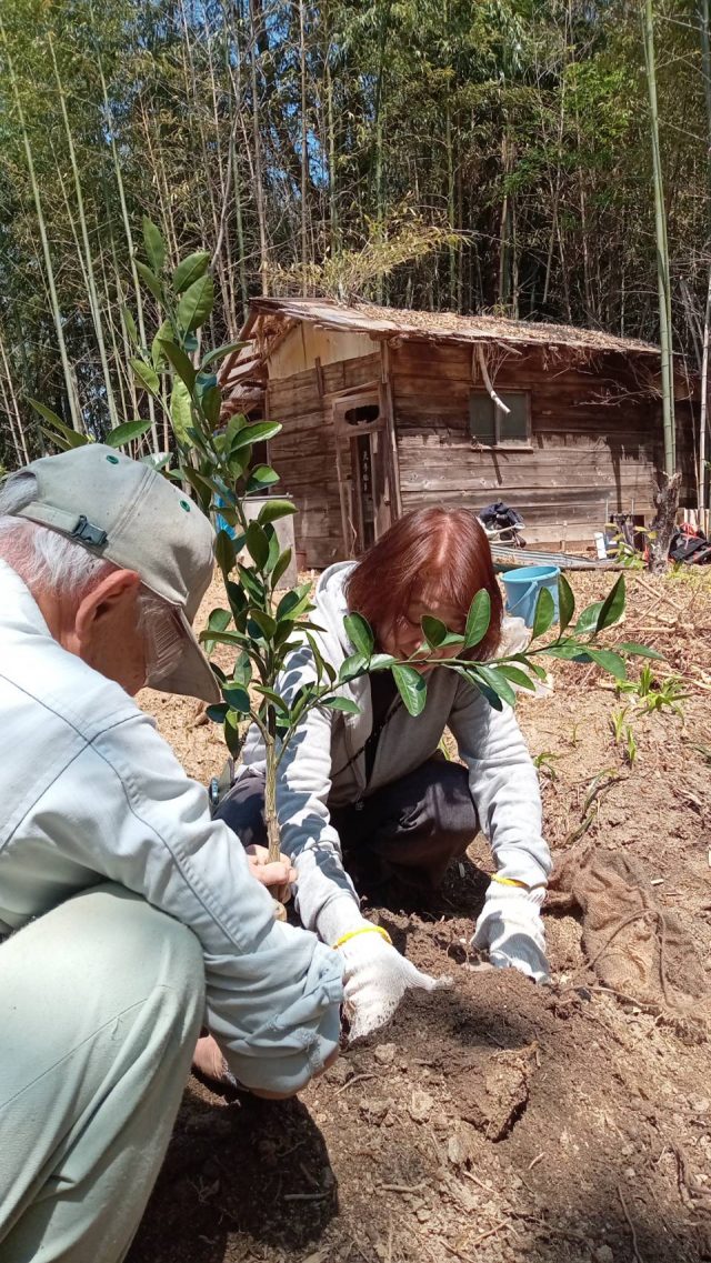 みんなで果樹を植える