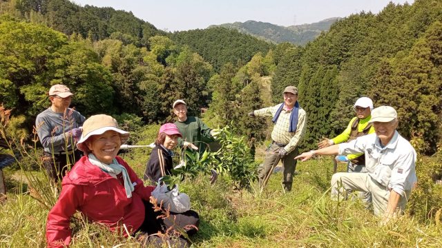 みかんの剪定完了