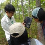 今どきの樹林の調べ方