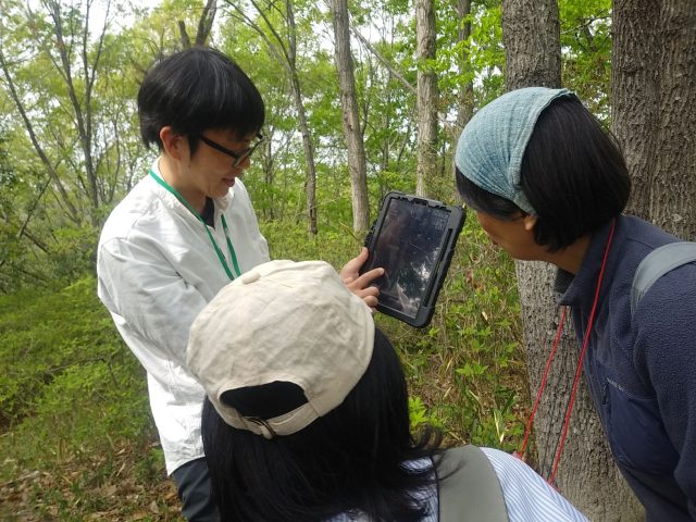 今どきの樹林の調べ方