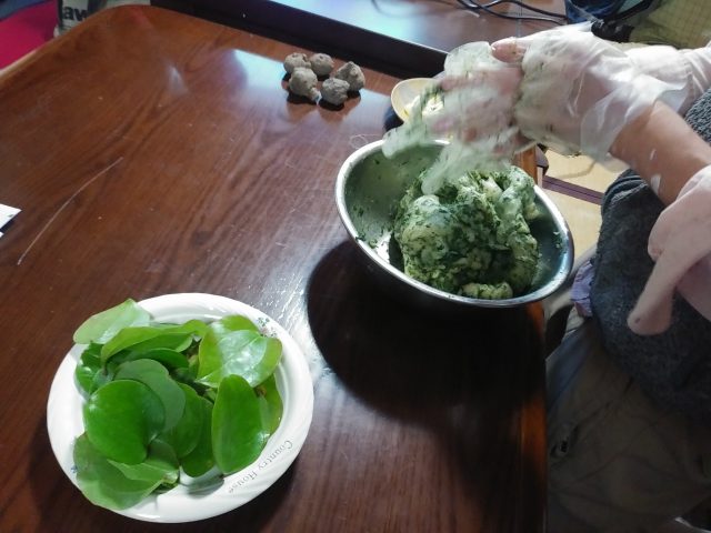 採ってきたサンキライの葉で