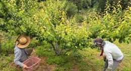 IMG_0291_0軽容量