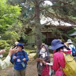 弘川寺の境内で