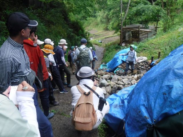 石積みを紹介