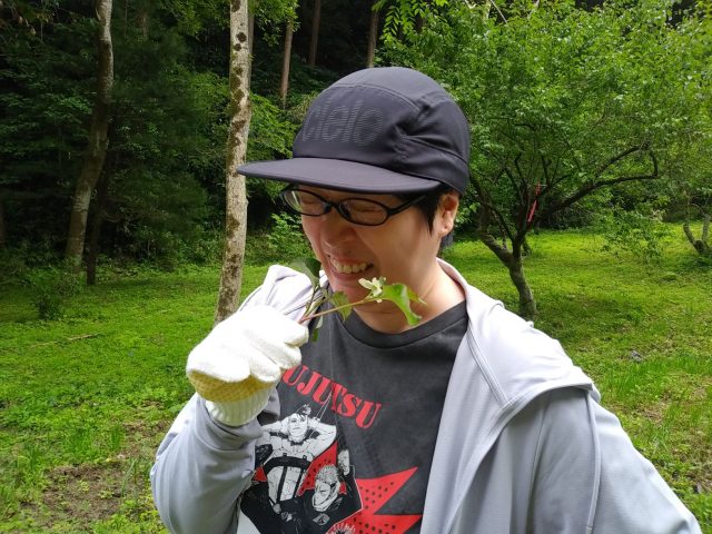 ドクダミの匂いは？