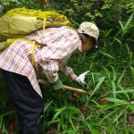 みつけた！周りを草刈り