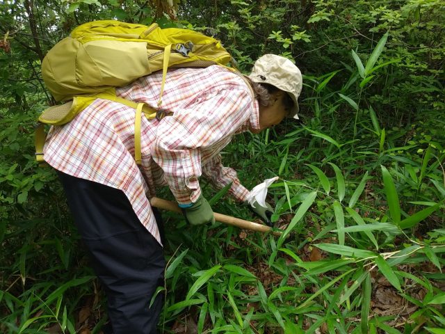 みつけた！周りを草刈り