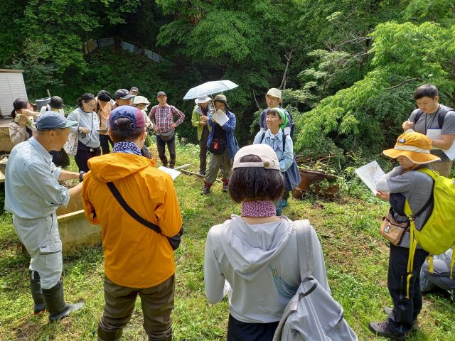 タニの棚田でオープニング