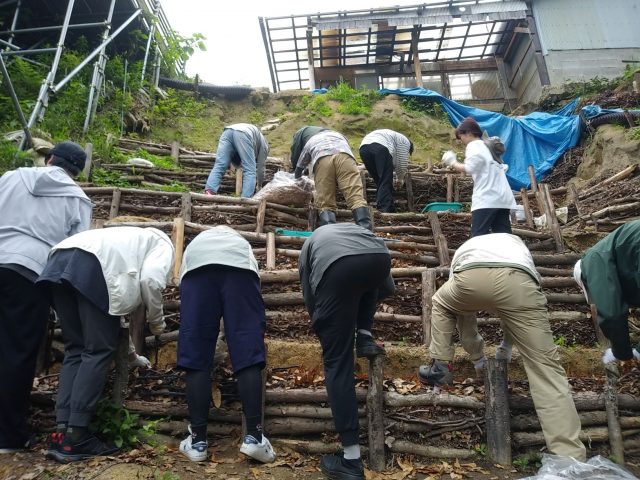 シガラ作り作業