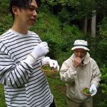 お茶の生葉を試食