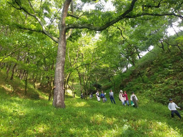 斯波さん山の散策