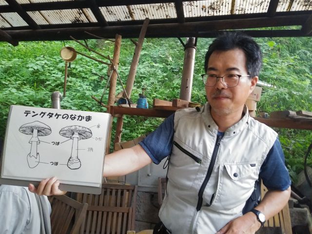丸山講師のキノコ開設