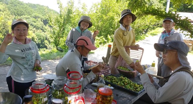 250628_20軽容量