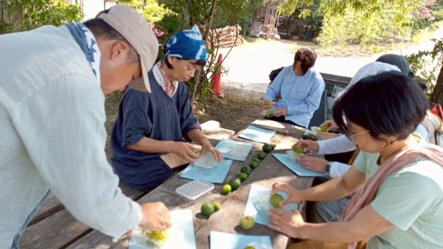 クルミの草木染