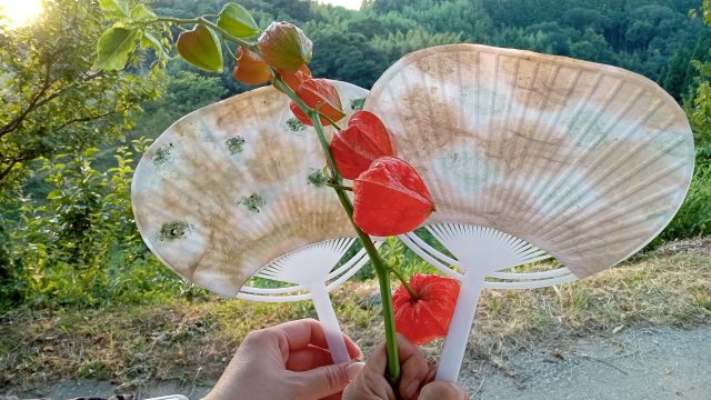 草木染のうちわ