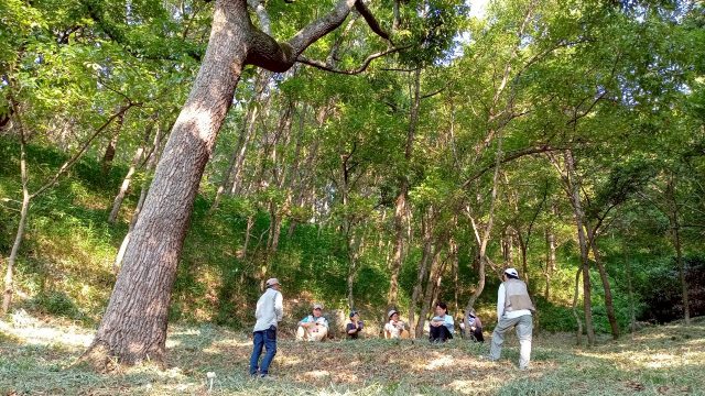 野外シミュレーション