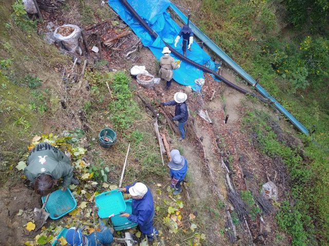 小屋下のシガラ作業