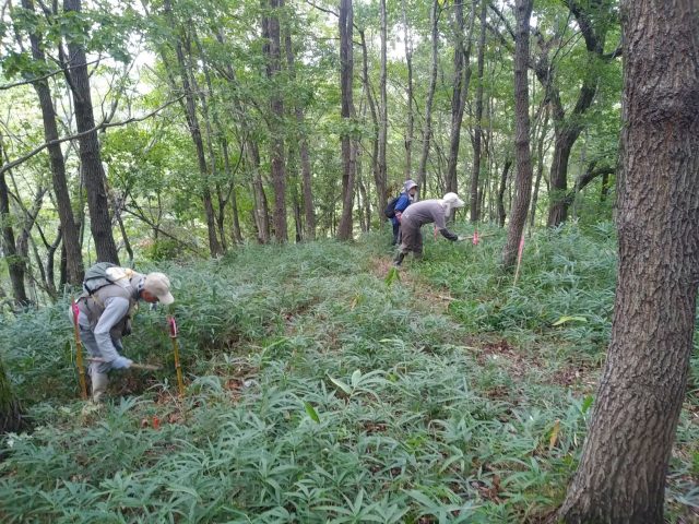 草刈り（鎌砥ぎ後）