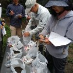 土壌の見分けにチャレンジ