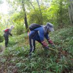 草刈り（鎌砥ぎ前）