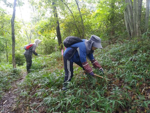 草刈り（鎌砥ぎ前）