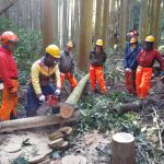 チェーンソー体験