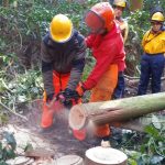 チェーンソー体験