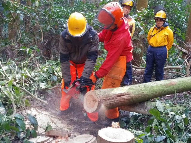 チェーンソー体験