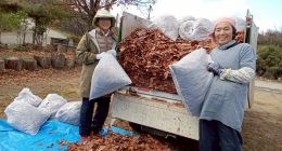 LINE_ALBUM_ちゃこーる１月号(〜20251215)_251216_32