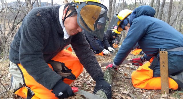 枝をノコギリでさばく