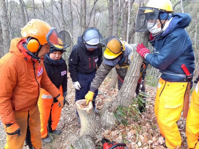 切り株をみながら