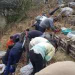 シガラに取り組み中