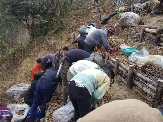 シガラに取り組み中