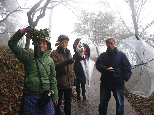 里山散策で椿の花などを