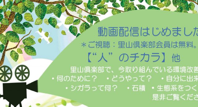 シガラ2026YouTube④