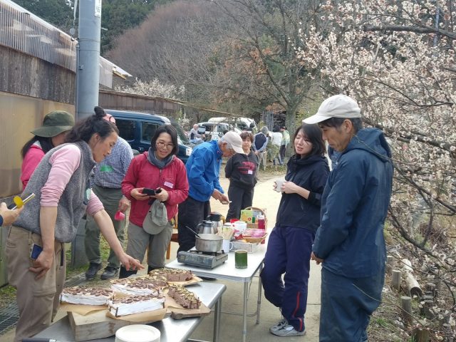 満開の梅の下で休憩