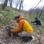クヌギ苗を植えました。