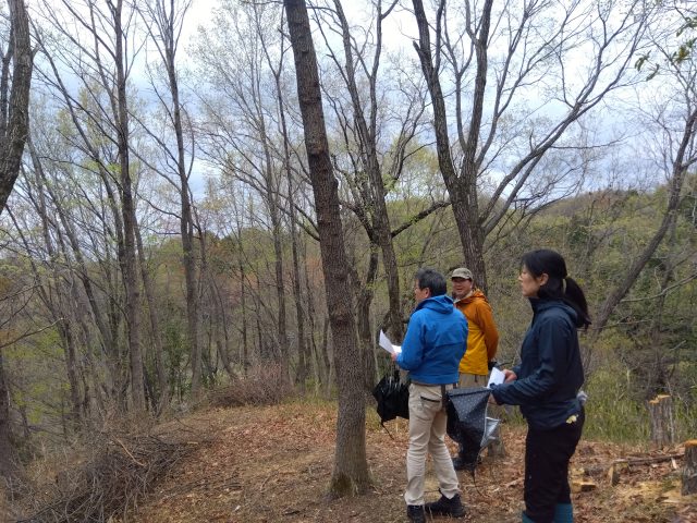 雑木林の散策