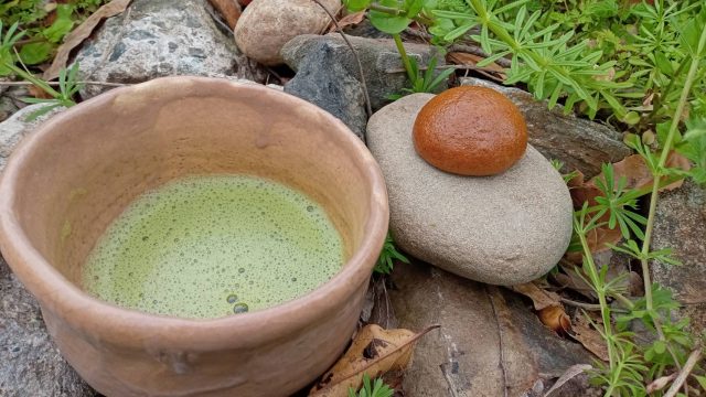 野点も楽しみました。