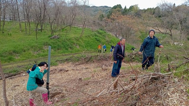 みんなで植樹