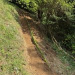 果樹林の道普請