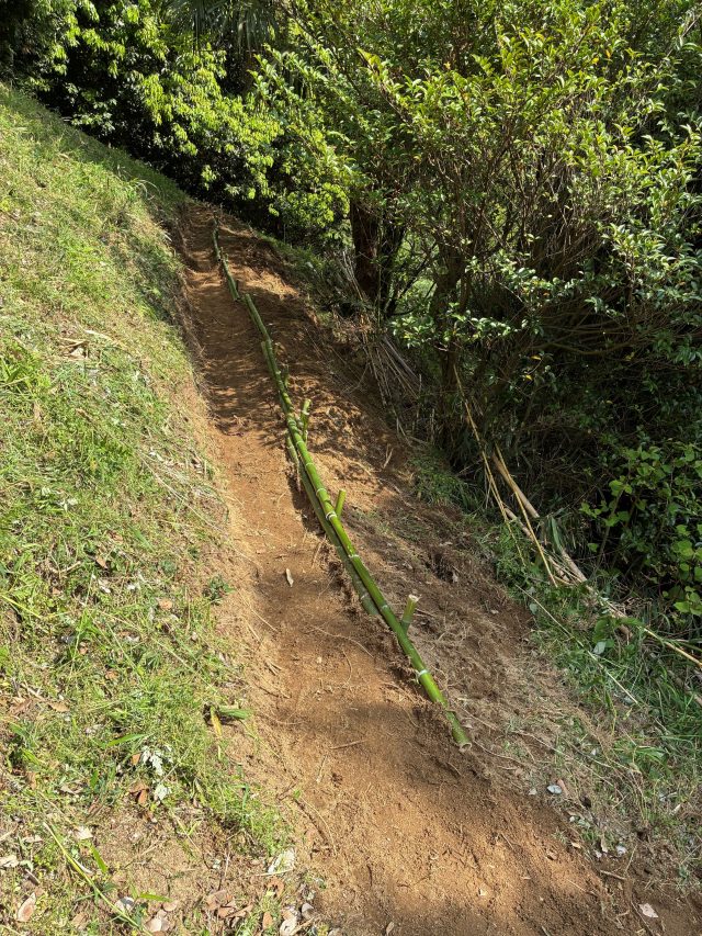 果樹林の道普請