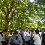 260530_73軽容量